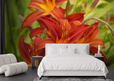 Artistic closeup of Orange Lilies Wall mural