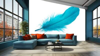 Blue fluffy feather isolated on the white Wall mural