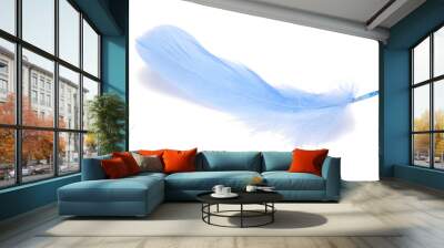 Blue fluffy feather isolated on the white Wall mural