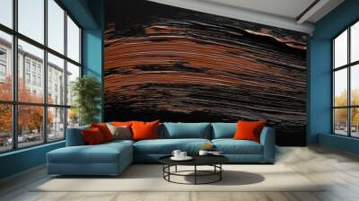 bright brown brush stroke of paint on black background Wall mural