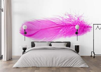 Elegant fluffy feather colorful isolated on the white background Wall mural