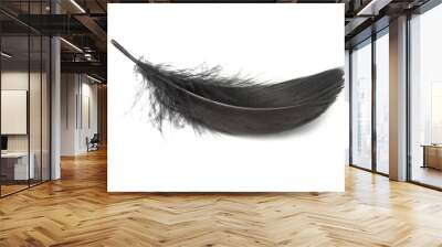 Fluffy black feather isolated on the white background closeup Wall mural