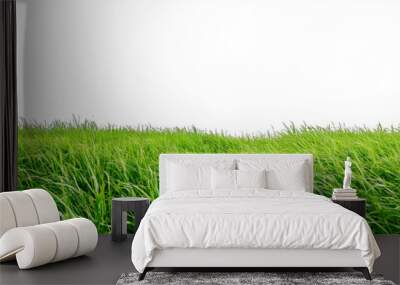 green fresh grass isolated on white background Wall mural