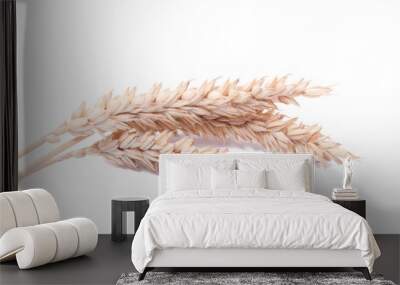 Spikelets of wheat isolated on the white Wall mural