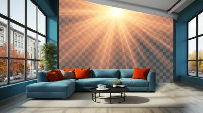 Vector transparent sunlight special lens flash light effect. Sun lens flash. Element of decor. Wall mural