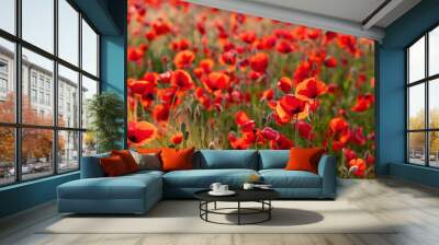 Close up shot of tender red poppy flower. Opium Poppy or Papaver somniferum. Poppy field in full bloom against sunlight. Remembrance Day, Memorial Day, Anzac Day. Wall mural