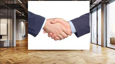 business handshake Wall mural