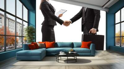 Businessman and a businesswoman shaking hands Wall mural