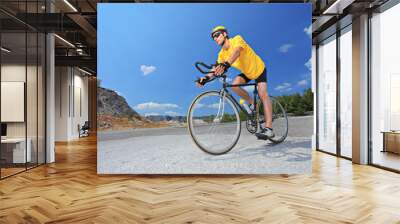 cyclist Wall mural