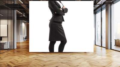 full length portrait of a professional woman standing with arms Wall mural