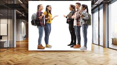 Group of four female and one male student talking Wall mural