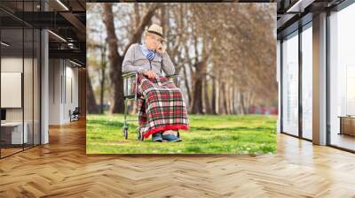 Grumpy old man sitting in a wheelchair in park Wall mural