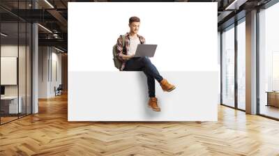 Male student using a laptop computer and sitting on a blank panel Wall mural