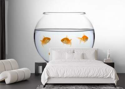 Many golden fish in a bowl against white background Wall mural