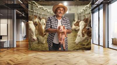 Mature farmer holding a small pig on a livestock farm Wall mural