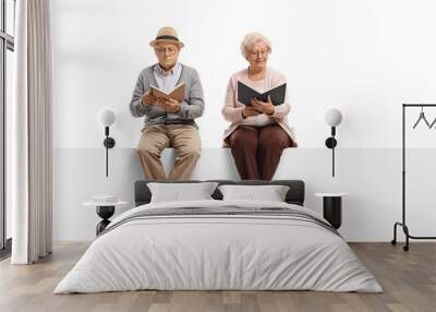 Mature man and an elderly woman sitting on a panel and reading books Wall mural