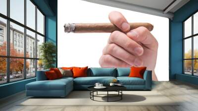 Person holding a cigar isolated on white Wall mural