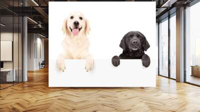 two dogs standing behind blank panel Wall mural