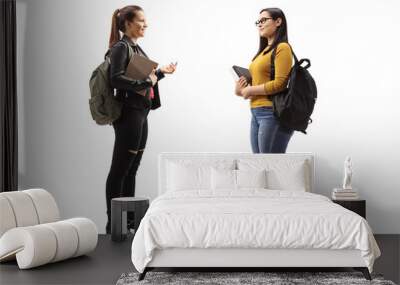 Two female students with books and backpacks having a conversation Wall mural