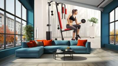 Young female exercising with a dumbbell and sitting on a fitness machine at home Wall mural