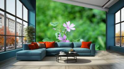 Two lilac meadow flowers and bud and leaves on a green background. Copy space for text. Wall mural