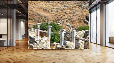 archeology  in delos greece the historycal acropolis and old ruin site Wall mural