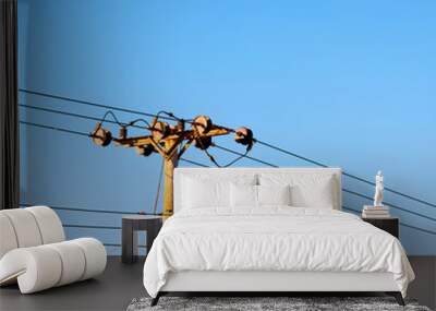 in oman the electric cable wood pylon energy and current line Wall mural