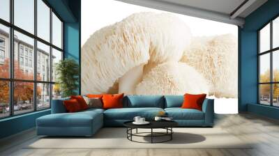 A few whole lion's mane mushroom with their white shaggy appearance, Isolated on transparent background Wall mural