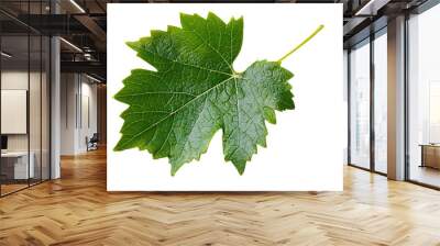 A vibrant green grapevine leaf with serrated edges and prominent veins, Isolated on transparent background Wall mural