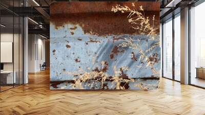 Multicolored background: rusty metal surface with blue paint flaking and cracking texture Wall mural