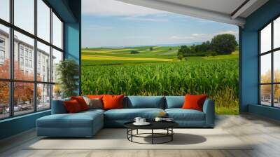 farm fields yellow and green 2 Wall mural