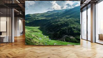 River meadows with green grass and mountains in background Wall mural