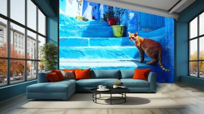 a cat in blue city of morocco Wall mural