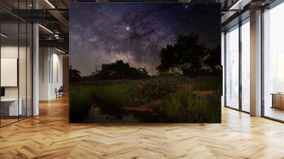 Texas Blue Bonnets under the Milky Way Wall mural