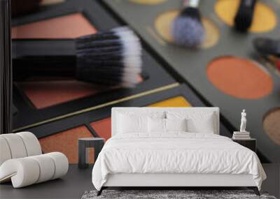 Colorful Cosmetic Pigment Palettes and Various Cosmetics Wall mural