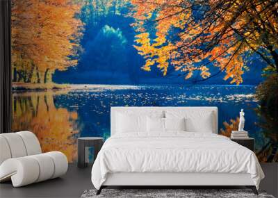 Autumn landscape of the forest on the shore of the lake Wall mural