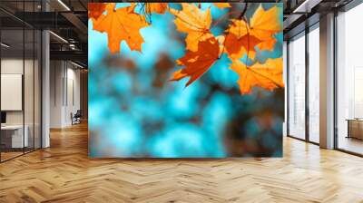 Banner autumn background Wall mural