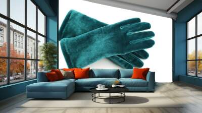 green velvet gloves Wall mural