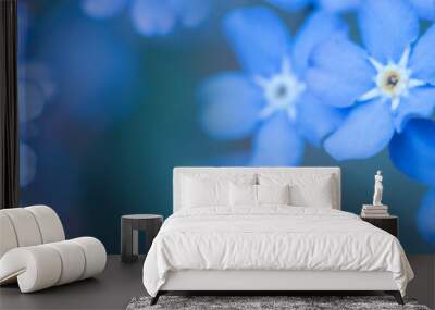 panorama spring background forget-me-not flowers Wall mural