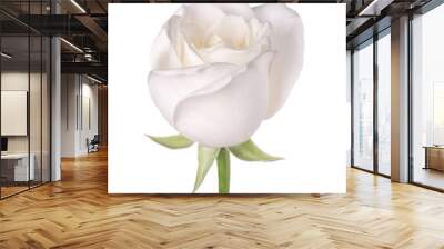 single white flower rose Wall mural