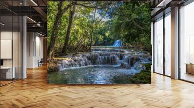 Beautiful natural landscape in Bonito, Brazil Wall mural