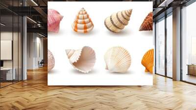 A collection of beautiful seashells showcasing diverse shapes and colors, perfect for nature-themed projects and ocean-inspired designs. Wall mural