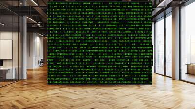 Abstract futuristic background with binary code, cyberspace matrix with digits. Wall mural