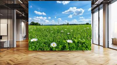 Green meadow with wildflowers on the edges, and a wide open sky filled with scattered clouds, creating a serene natural backdrop Wall mural