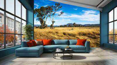 golden grassland landscape in the bush with large tree with grampians mountains in the background, v Wall mural