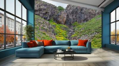 moss on the rocks Wall mural