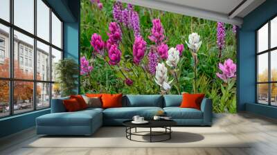 pink and white flowers Wall mural