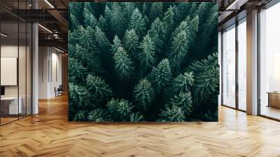 Top view of dark green forest landscape in winter. Aerial nature scene of pine trees. Countryside path trough coniferous wood form above. Adventure travel concept background.  Wall mural