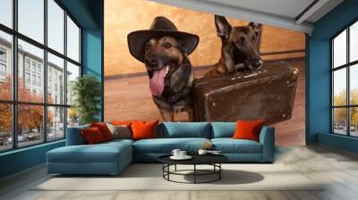 Two dog travelers with casees Wall mural