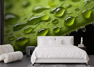 Beautiful drops morning dew in nature. Drops of clean transparent water on leaves. Texture of a green leaf close-up. Beautiful nature backdrop. Illustration for cover, interior design, decor or print. Wall mural